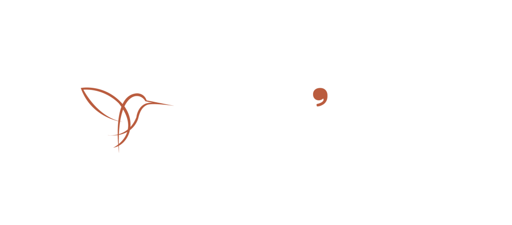 Nouveau_logo_com_libri_noir